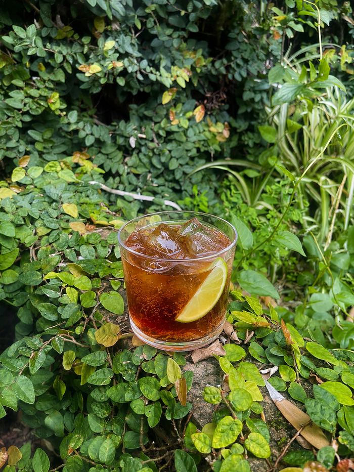 Cold Brew Mule