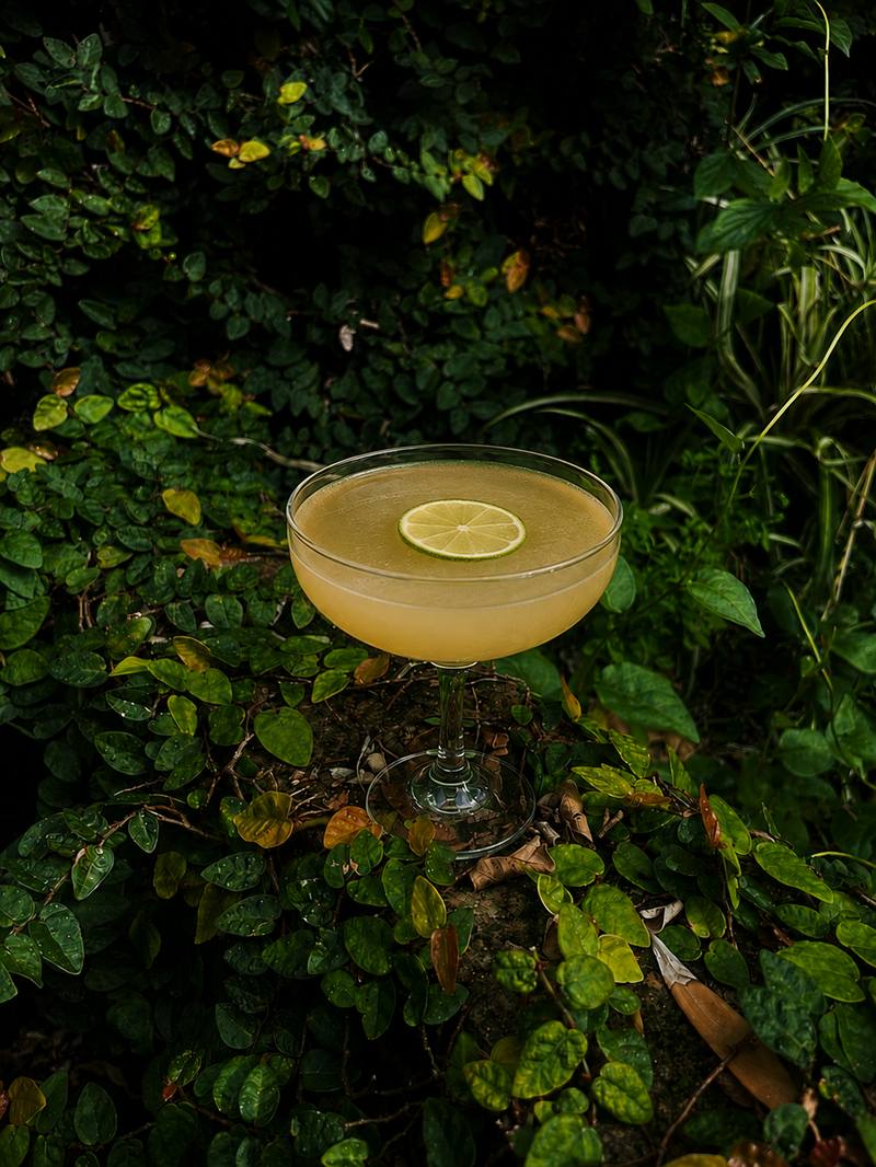Golden Daiquiri