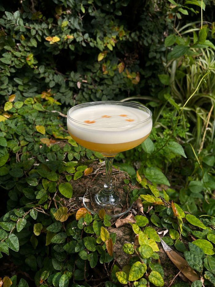 Velvet Sour